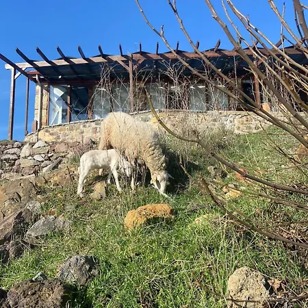 Keva Cetmibasi - Stone House Bahcedere